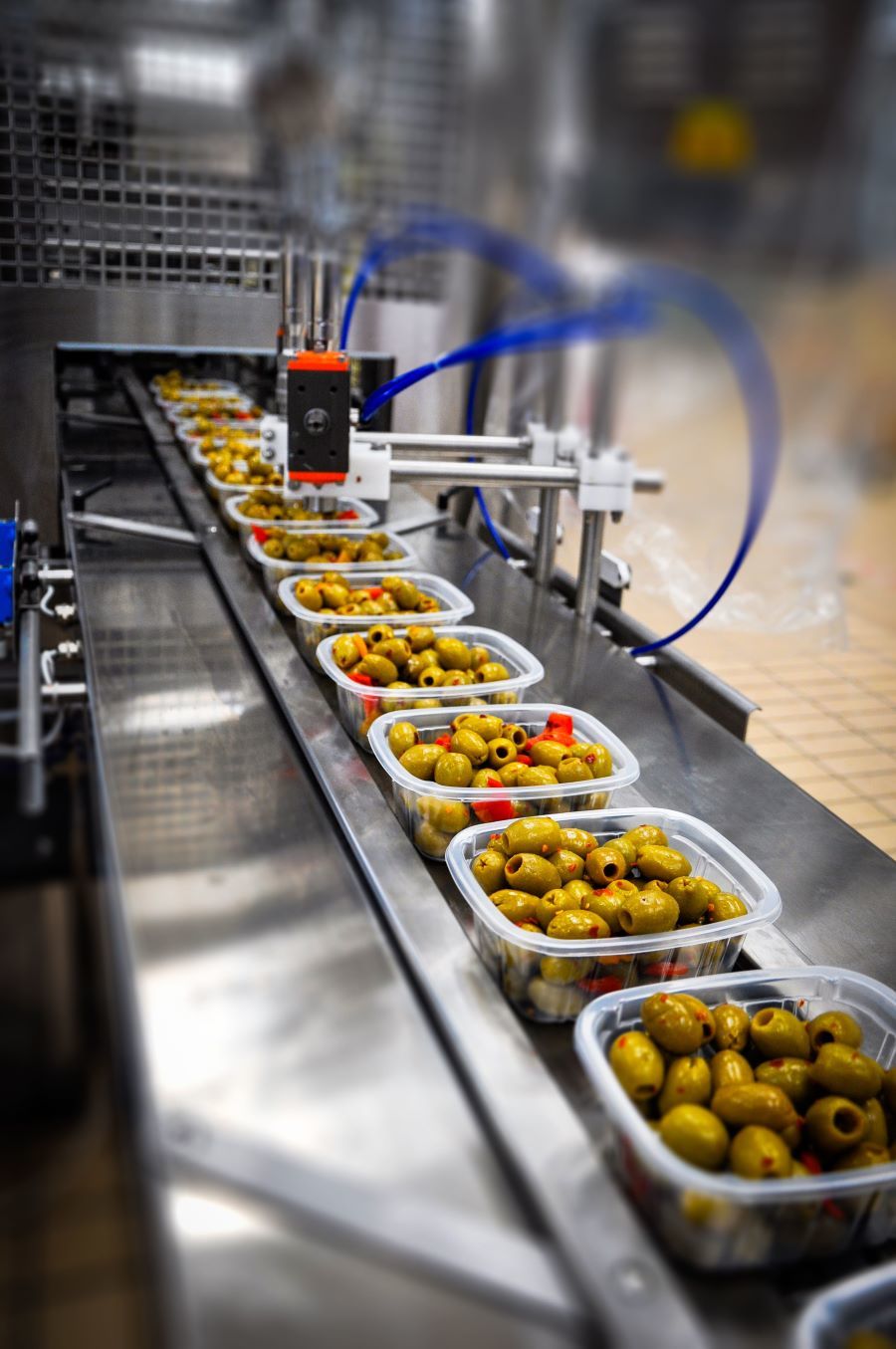  Le olive Ficacci vanno a segno in Italia e all'estero