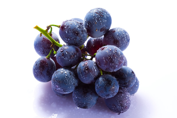 Vendemmia: a 7,5 milioni di quintali la produzione di uva di Fedagri Confcooperative