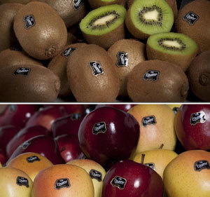 F.lli Orsero mette la firma anche su kiwi e mele