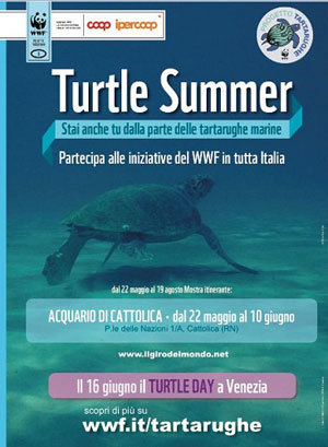Coop e Wwf insieme per la "Turtle Summer"