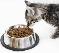 Pet food: alimenti funzionali, in formato ridotto