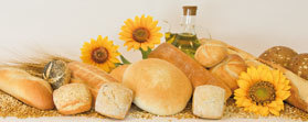Il Germoglio: interpretare il pane