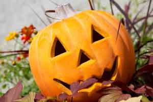 Halloween: vista la crisi, le zucche finiscono in padella