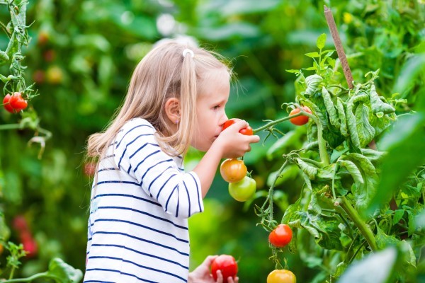 ​Eit food: mostrare immagini di verdure ai bambini può favorirne il consumo