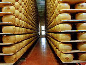 Galoppa l’export italiano di formaggi in Spagna