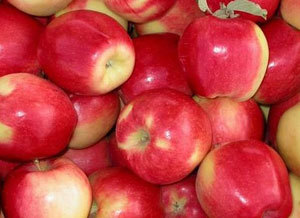 Val Venosta: nasce la nuova varietà di mele Ambrosia