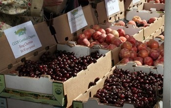 Commercio: apre a Londra “italian farmers”, cibo 100% italiano 